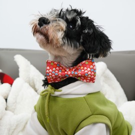 MACA Bates Valentine’s Dog Collar with Bow Flower Bow tie Sweet Heart Adjustable Collars for Small Medium Large Dogs with Metal Buckle