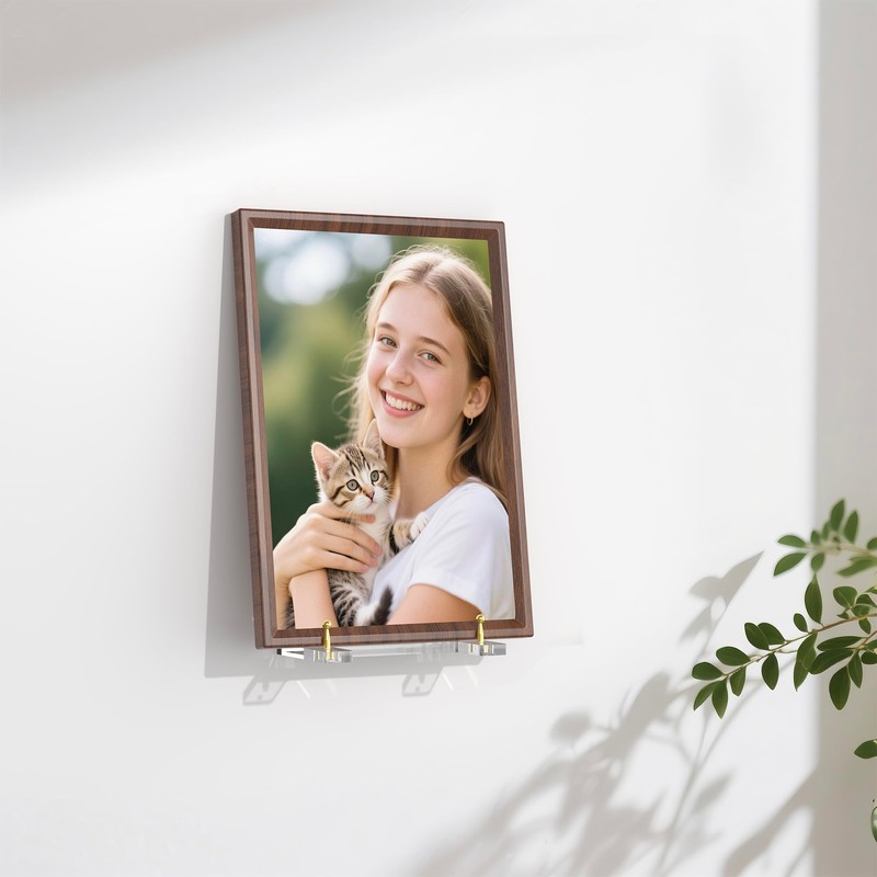 Wall-Mount Acrylic Display Shelf for Plates, Acrylic Plate Stand with
