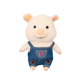 Naito Design Laboratories Puuton Outing (S) Denim 43213