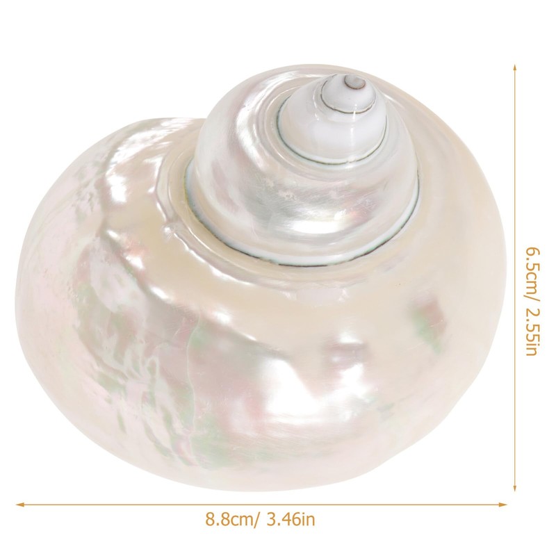 Toddmomy Hermit Crab Shells - 9cm Iridescent Turbo Seashells Pearl