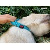 Heavy Duty Dog Collar with Handle | Ballistic Nylon Heavy