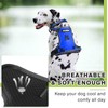 WINSEE Dog Harness No Pull, Pet Harnesses with Dog Collar,
