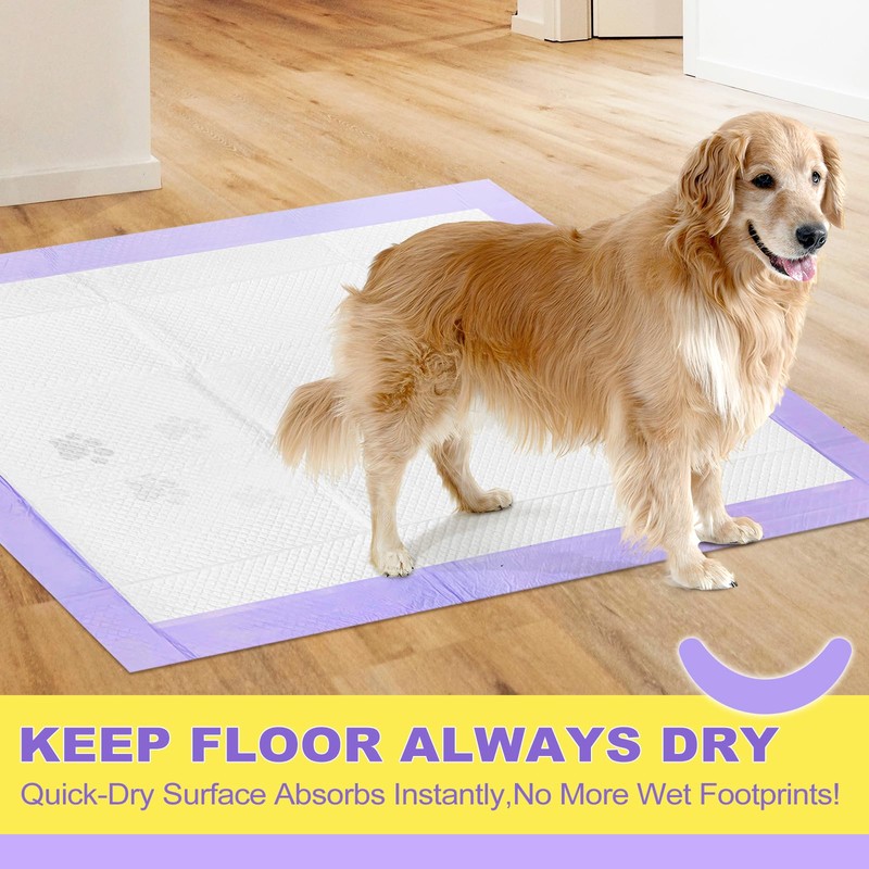 MIZOK Dog Pads Extra Large 28x44in, XXL Potty Pads for