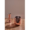SKY FISH Stemless Stainless Steel Etching Wine Glasses,18 oz Copper