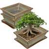 Ceramic Bonsai Pots with Drainage Tray, Set of 2 Rectangular