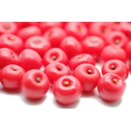 1shopforyou 20 Psc Red Apple Dollhouse Miniatures Toys & Food Kitchen Rec by Handmade