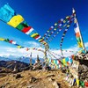 Tegeme 40 Pcs Tibetan Prayer Flags 5 Colors 100% Cotton
