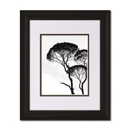 Set of 2-16x20 Classic Curved Picture Frame with Clear Glass and Double White/Black Mat for 11x14 image. (2)