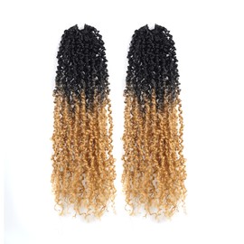 Toyotress Yanky Twist Crochet Hair - 14 Inch 2 Packs (30 Strands/Pcs) Fluffy Spring Mini Twist Passion Twist, Ombre Blonde Pre-Looped Crochet Braids Braiding Hair (14 Inch, OT27-2P)