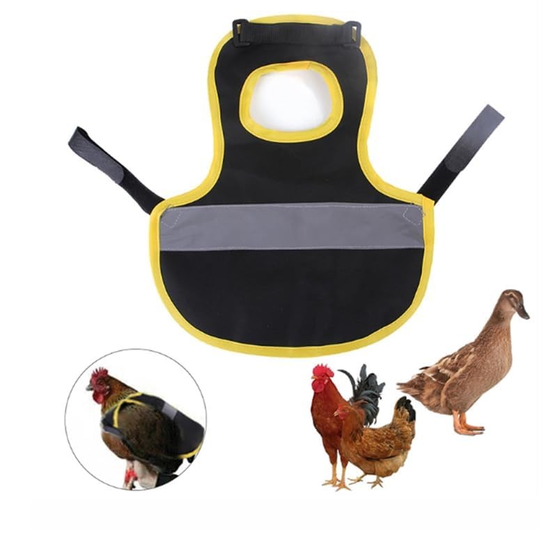 Pack of 2 chicken saddles for chickens, chicken saddle, high