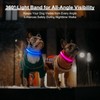 Light Up Dog Collar, Multicolor LED Dog Collar with 7