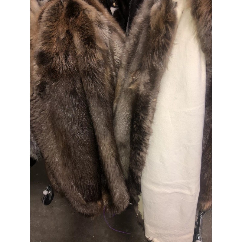 Beaver Hide Tanned Taxidermy