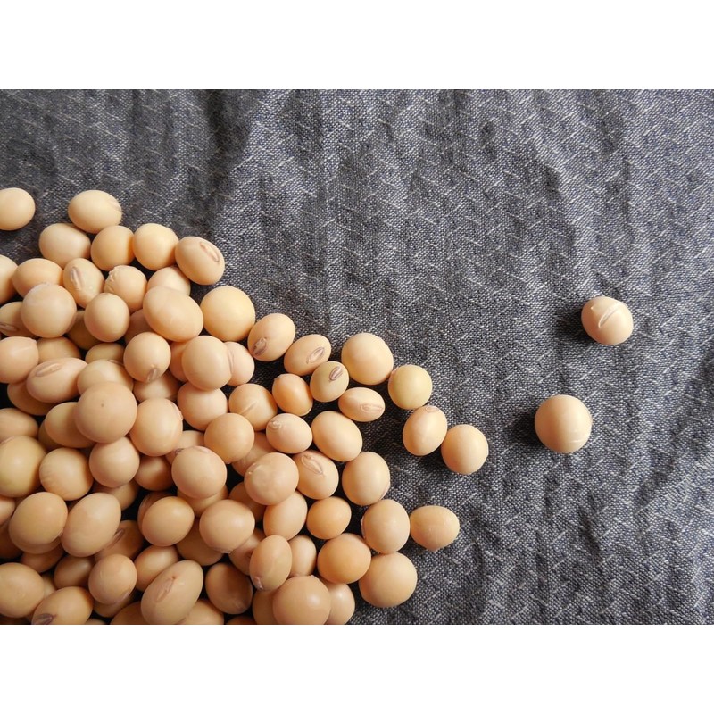 ABC Indonesian Sweet Soy Sauce