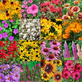 South Carolina Bulk Perennial Wildflower Seed Mix 1lb Covers 2,000sq-ft - Attract Pollinators, Multi-Color Blooms - Southeast US Species Plant in Spring/Fall, Earth-Friendly Packaging (1/4 Pound)