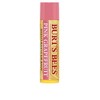 Burts Bálsamo Labial Pnk Grpfrt Tamaño .15 O Burts Bee