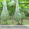 Belit 10 Pack Melon Hammock net Bag to Prevent Falling,Perfect