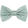 OCIA Men's Oziact Pattern Bow Tie, Deep Sage