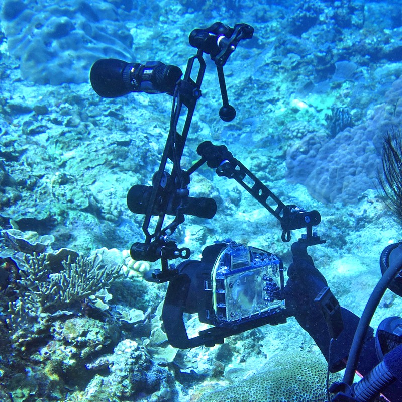 Aluminium Alloy Black Diving Triple Ball Clamp Outdoor Camera Arm