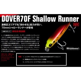 Apia Lure Dover 70F Shallow Runner #02 Chart Back Pearl