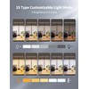 Kary LED Desk Lamps for Home Office, Tall Desk Light