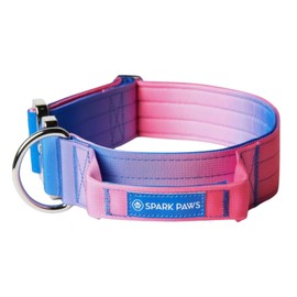 Spark Paws Tactical Dog Collar with Handle - Premium Quality Collar, Robust and Durable Design for Large, Strong Breeds - Pitbulls, Labradors, GSD - Snow Cone - S - 1.5"