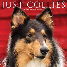 Just Collies 2023 Wall Calendar