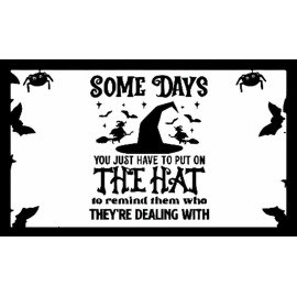 Some Days You Just Have To Put On The Hat To Remind Them  Bats/Spiders  - MAGNET