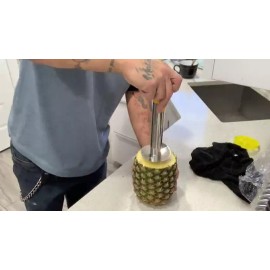 Kitchen Easy Kitchen Tool Stainless Steel Fruit Pineapple Peeler Corer Slicer Cutter