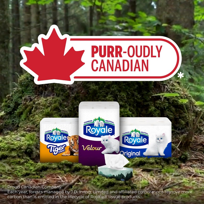 Royale Tiger Strong Paper Towel, 3 Double Equal 6 Rolls,