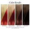 Adore Semi-Permanent Haircolor #060 Truly Red 4 Ounce (118ml)