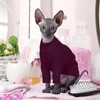 Hjyokuso Hairless Cat Sweater，Sphynx Cat Clothes，Kitten Clothes，Breathable Sweaters Cats, Kitten