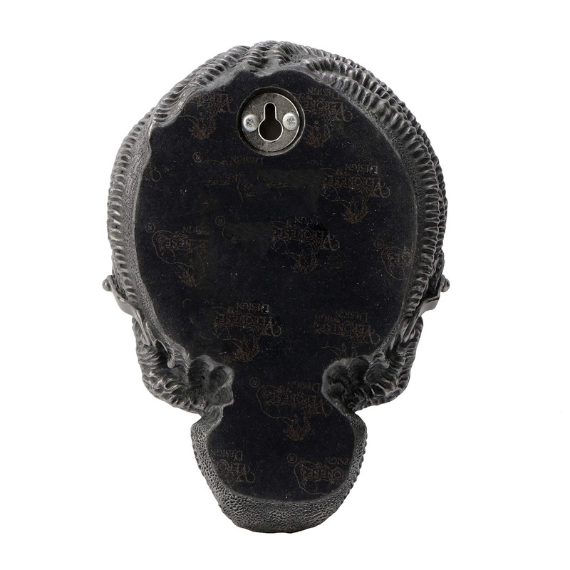 Veronese Design Steampunk Cold Cast Pewter Xeno Flat Skull Wall
