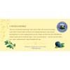 Celestial Seasonings Natural Blueberry Tea 20 Count Gluten Free Kosher