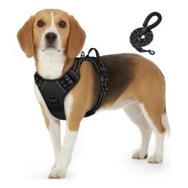 Pechera Para Perro,pechera Arnés Ajustable Reflectante(1.5m)