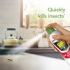Raid Essentials Ant, Spider & Roach Killer Aerosol Spray, Child