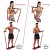 Push Up Board Workout Equipment for Chest Triceps, Back, Arms