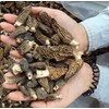 Dried Morel Mushrooms 4 oz