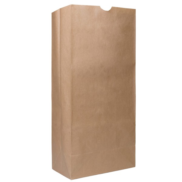 EcoQuality 500 Brown Kraft Paper Bag (25 lb) Large - Paper Lunch Bags, Snacks, Gift Bags, Grocery, Merchandise, Party Bags,to Go, Carry Out, Recyclable (8 1/4 x 5 1/4 x 18 inches) (25 Pound Capacity)