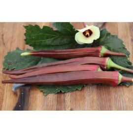 Fresh 25+ Red Burgundy Okra Seeds - NON GMO -- Heirloom -- FRESH
