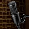 Audio-Technica Micrófono de Condensador cardioide Negro AT2020
