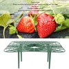 Strawberry Support, 20 Pack Strawberry Plant Support Strawberry Stand Holder