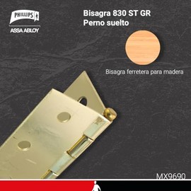Walfront Bisagra de Puerta Plegable 3D Ajustable 180 Grados Soporta 40 kg Bisagras Ocultas Invisibles para Puerta (Plateado)