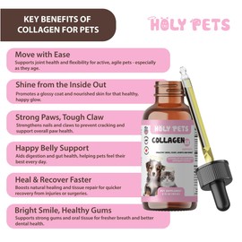 Holy Pets Liquid Collagen for Dogs & Cats – 5 Types I, II, III, V, X – Joint, Skin & Coat Support – Hyaluronic Acid – Hydrolyzed Bovine, Fish & Chicken Collagen – 2oz, 30 Servings