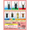ザ・アクセス 立体昆虫図鑑 世界のクワガタ 昆虫 リアルフィギュア