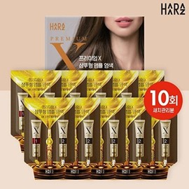 Haraz Premium / 하라즈 프리미엄X 샴푸형 앰플 염색제(10회분) 와인갈색