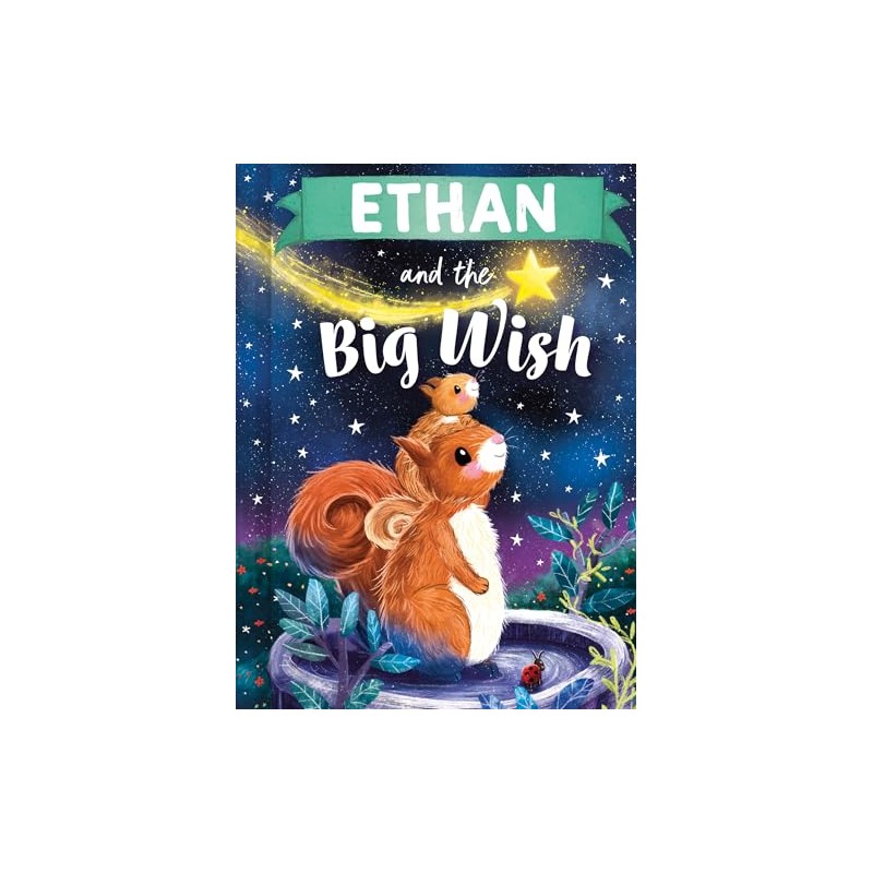 Ethan and the Big Wish