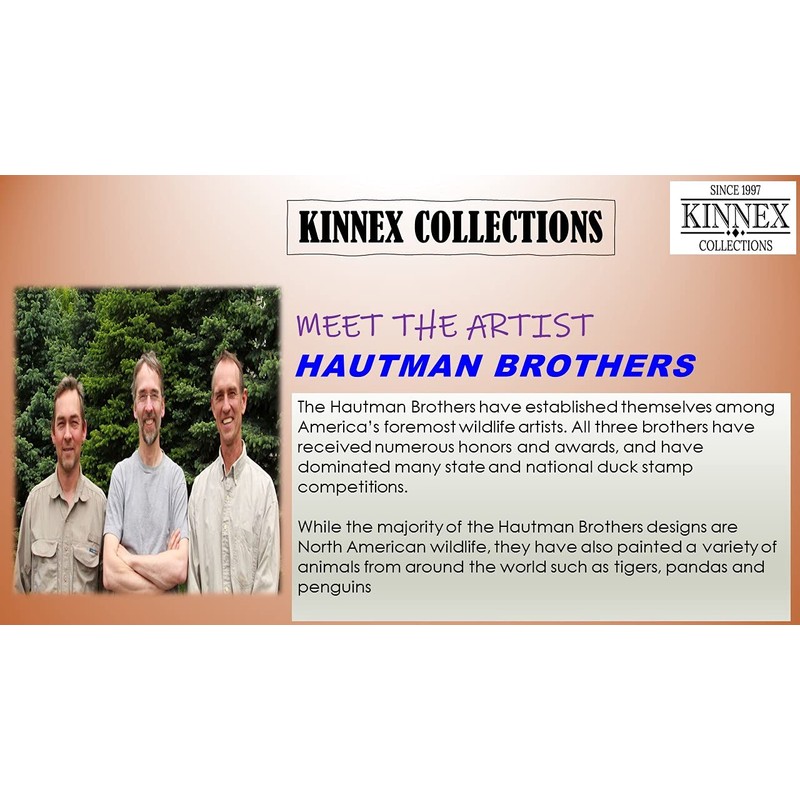 Kinnex Collections Dream Catcher from 24" Dream Catchers – Native