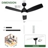 Minislak 42 Inch Black Ceiling Fan with Light and Remote