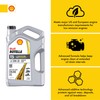 Shell Rotella T5 10W-30 Diesel Engine Oil, 1 Gallon (Case