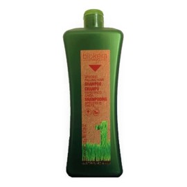 Shampoo Anticaída Salerm Biokera con Ginseng y Ginkgo Biloba, 1 L